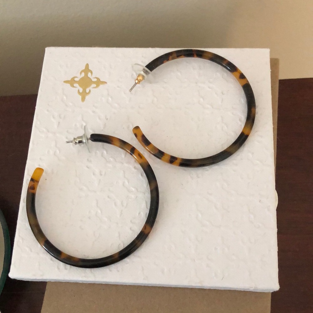 Jcrew resin hoops